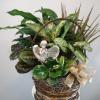 10 inch basket as shown $85
12 inch basket w/ Angel $115
plus delivery
Plants may vary
